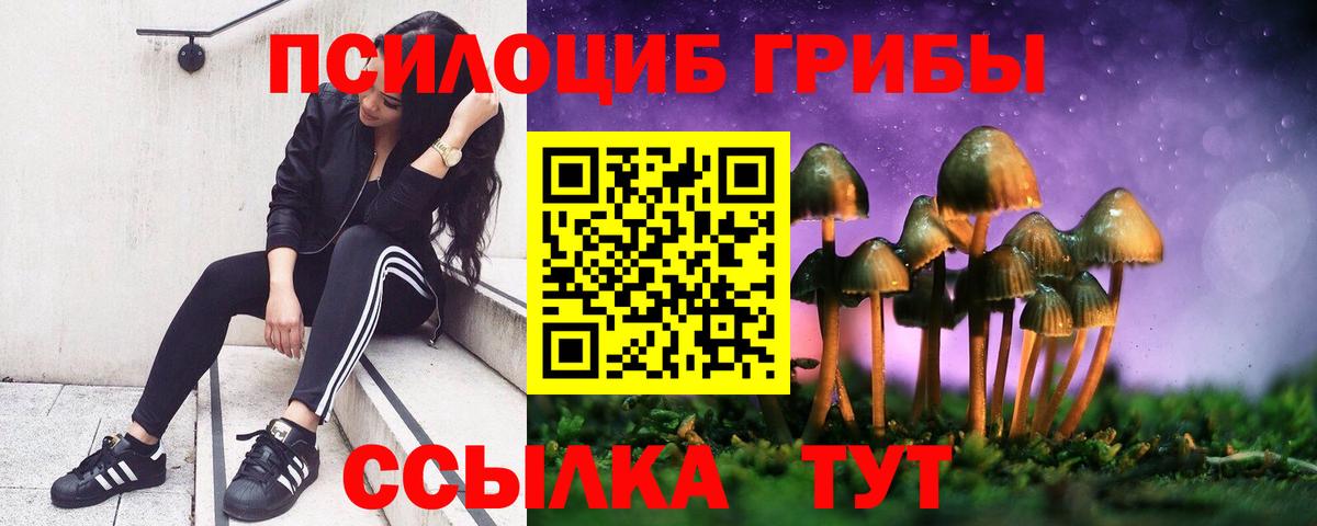 Псилоцибиновые грибы мухоморы  Вход с VPN  купить   Сухой Лог 