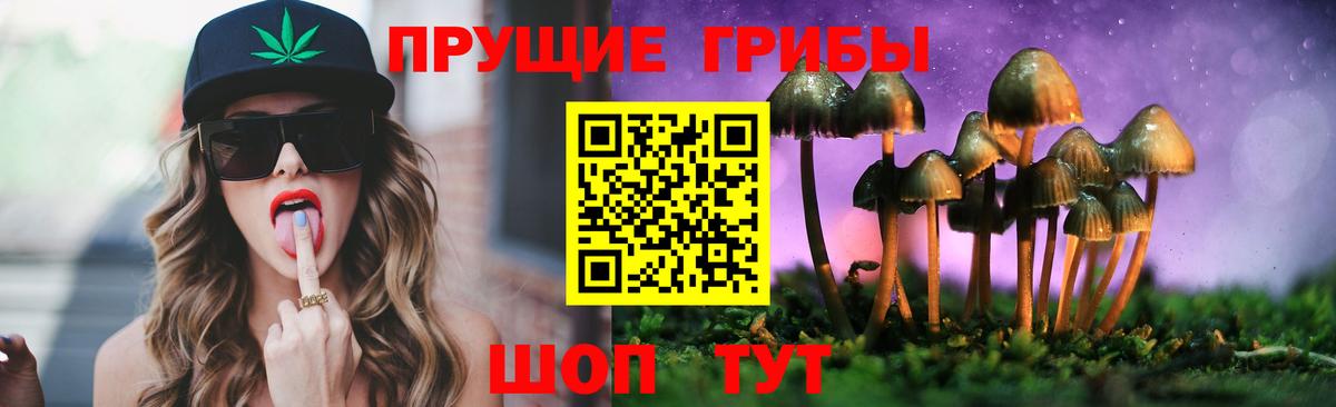 Галлюциногенные грибы ЛСД Сухой Лог
